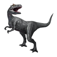 Allosaurus1