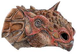 Tarchia gigantea-web.gif