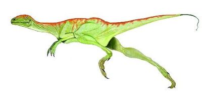 Compsognathus