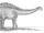 Rayososaurus