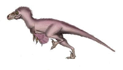 Atrociraptor