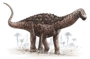 A Saltasaurus