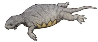Odontochelys.jpg