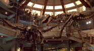 Jurassic-park-movie-screencaps com-13796