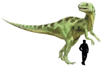 Yangchuanosaurus.jpg