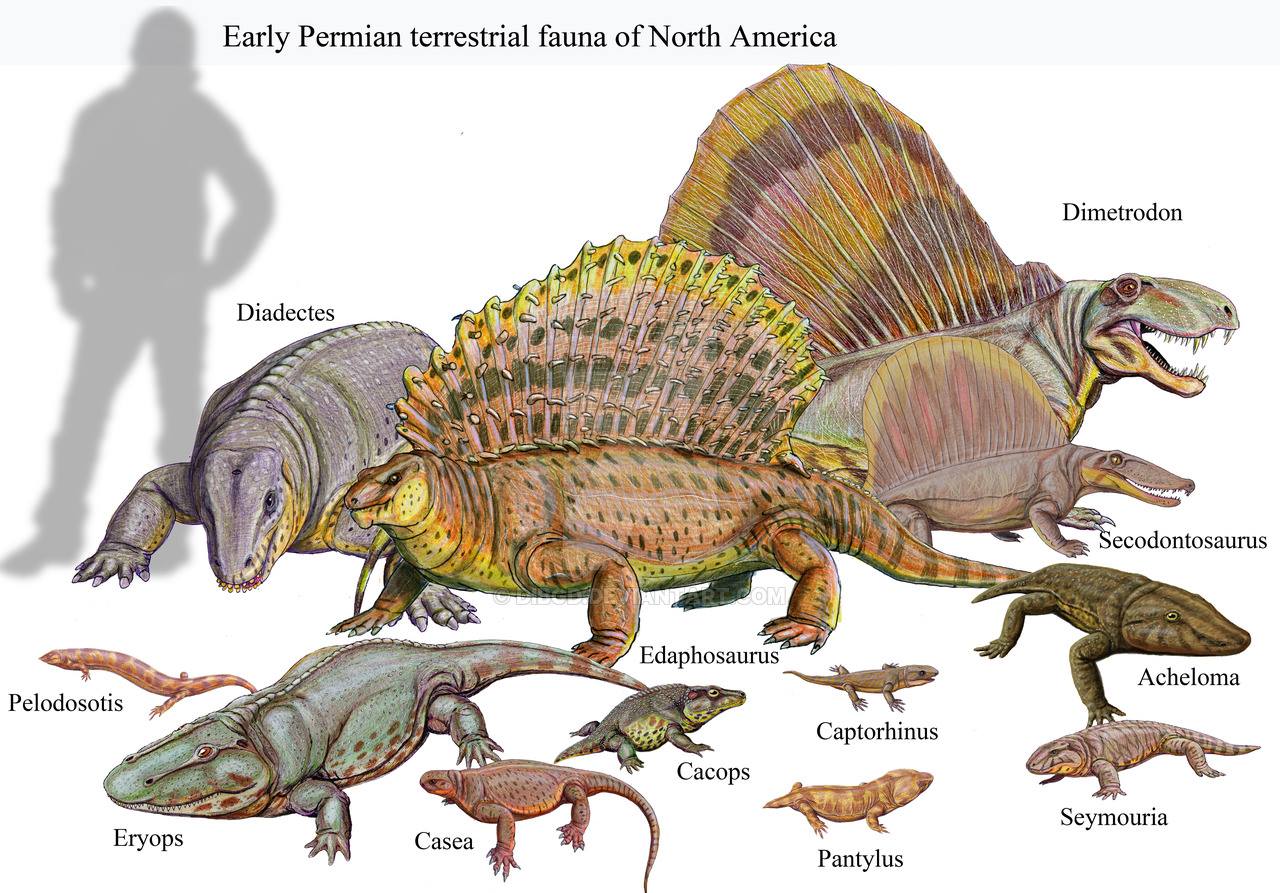 early triassic period animals