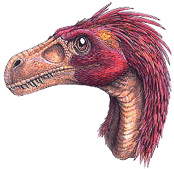 Dromaeosaurus 2.gif
