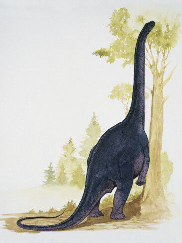 Nemegtosaurus.jpg