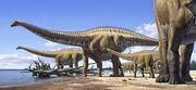 Diplodocus