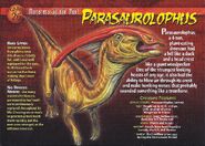 Parasaurolophus front