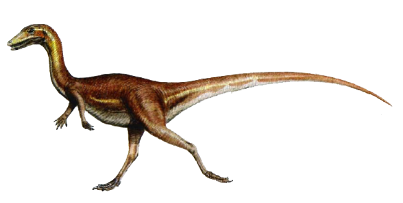 Procompsognathus Dinosaur Wiki Fandom