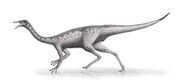 Gallimimus Steveoc86