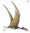 Quetzalcoatlus