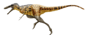 Xiongguanlong