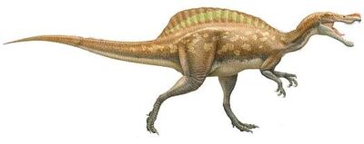 Irritator.jpg