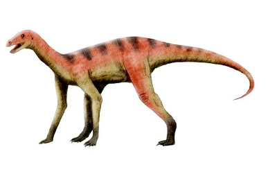 Asilisaurus