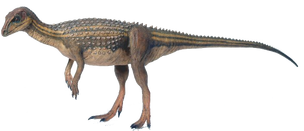 2331182 orig.png