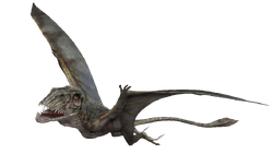 Dimorphodonjw.png