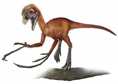 Epidendrosaurus.jpg
