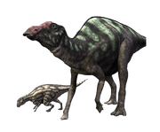 77084 orig.png