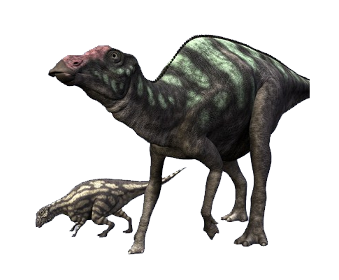 Maiassaura, Dinossauro Rei Wiki
