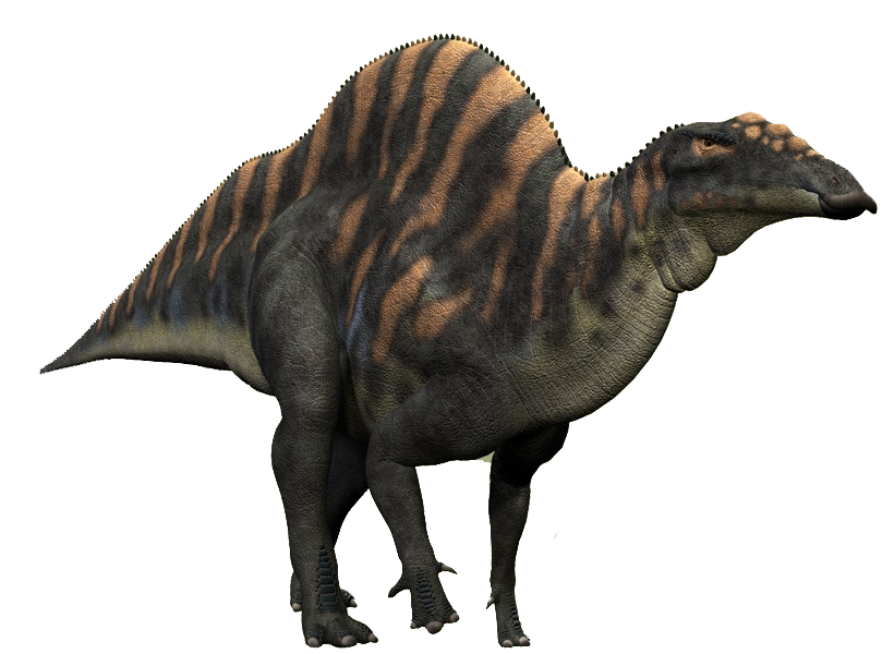 ouranosaurus