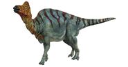 Corythosaurus HiRes white bg o6xjgq