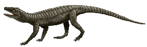 Hoplosuchus.gif