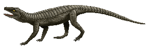 Hoplosuchus