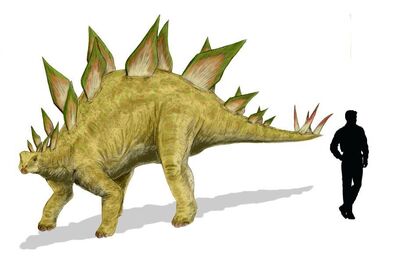 Stegosaurus