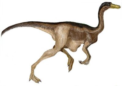 Gallimimus.jpg