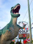 Old pro golf tyrannosaurus