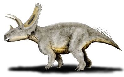Titanoceratops.jpg