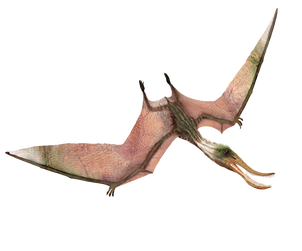 330145 orig.png