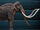 Columbian Mammoth