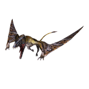 JWA PressKit Scaphognathus.png