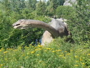 Calgary Zoo apatosaurus