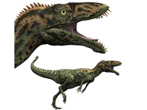6108134 orig.png