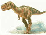 Abelisaurus