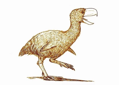 Andalgalornis