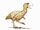 Andalgalornis