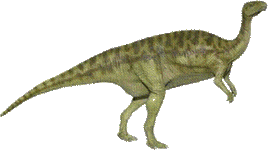 Bactrosaurus