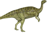 Bactrosaurus