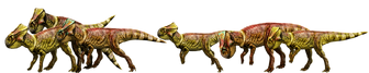 Microherd.png