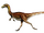 Procompsognathus