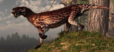 Lycaenops-daniel-eskridge.jpg