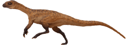 Tanycolagreus.png