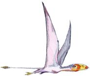 Dimorphodon2DB white background