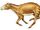 Orohippus