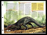 Wildlife fact file Baryonyx inside